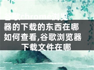 谷歌chrome浏览器的下载的东西在哪 如何查看,谷歌浏览器下载文件在哪