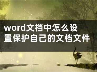 word文档中怎么设置保护自己的文档文件