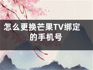 怎么更换芒果TV绑定的手机号