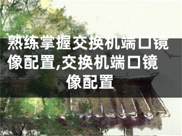 熟练掌握交换机端口镜像配置,交换机端口镜像配置
