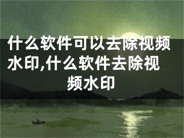 什么软件可以去除视频水印,什么软件去除视频水印
