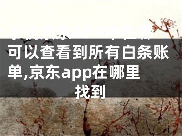 手机京东APP中在哪可以查看到所有白条账单,京东app在哪里找到