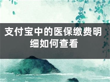 支付宝中的医保缴费明细如何查看