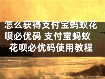 怎么获得支付宝蚂蚁花呗必优码 支付宝蚂蚁花呗必优码使用教程