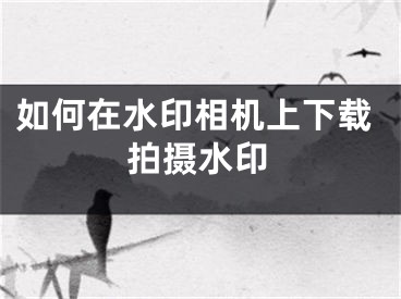 如何在水印相机上下载拍摄水印