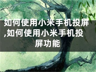 如何使用小米手机投屏,如何使用小米手机投屏功能