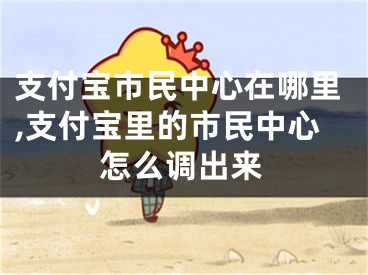 支付宝市民中心在哪里,支付宝里的市民中心怎么调出来