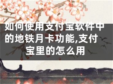 如何使用支付宝软件中的地铁月卡功能,支付宝里的怎么用