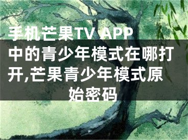 手机芒果TV APP中的青少年模式在哪打开,芒果青少年模式原始密码