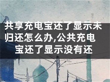 共享充电宝还了显示未归还怎么办,公共充电宝还了显示没有还