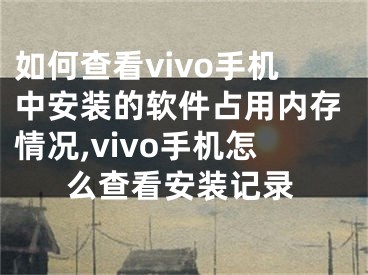 如何查看vivo手机中安装的软件占用内存情况,vivo手机怎么查看安装记录