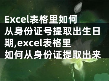 Excel表格里如何从身份证号提取出生日期,excel表格里如何从身份证提取出来