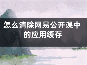 怎么清除网易公开课中的应用缓存