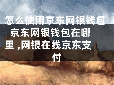 怎么使用京东网银钱包  京东网银钱包在哪里 ,网银在线京东支付