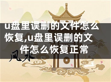 u盘里误删的文件怎么恢复,u盘里误删的文件怎么恢复正常