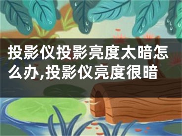 投影仪投影亮度太暗怎么办,投影仪亮度很暗