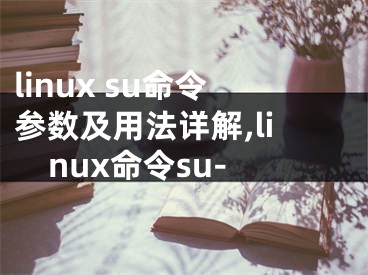 linux su命令参数及用法详解,linux命令su-
