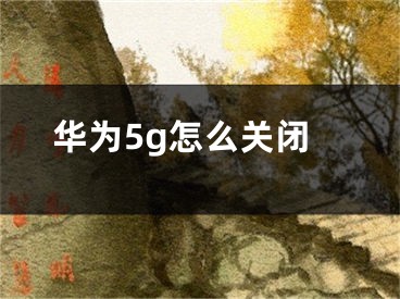 华为5g怎么关闭