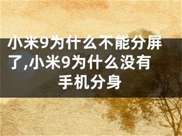 小米9为什么不能分屏了,小米9为什么没有手机分身
