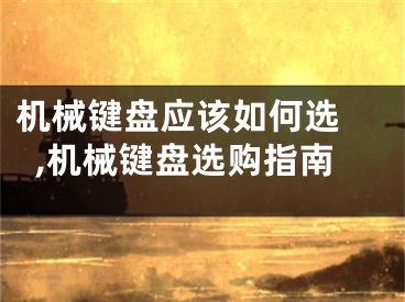 机械键盘应该如何选 ,机械键盘选购指南