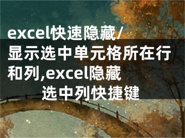 excel快速隐藏/显示选中单元格所在行和列,excel隐藏选中列快捷键