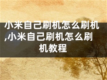 小米自己刷机怎么刷机,小米自己刷机怎么刷机教程