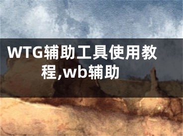 WTG辅助工具使用教程,wb辅助