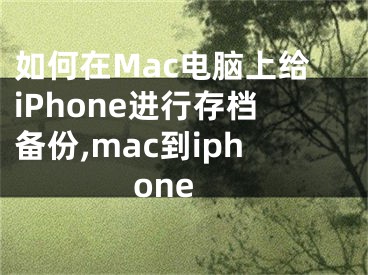 如何在Mac电脑上给iPhone进行存档备份,mac到iphone