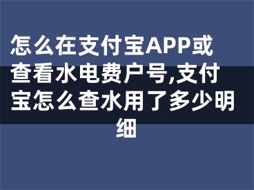 怎么在支付宝APP或查看水电费户号,支付宝怎么查水用了多少明细