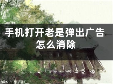 手机打开老是弹出广告怎么消除