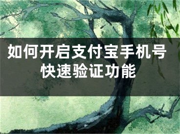 如何开启支付宝手机号快速验证功能