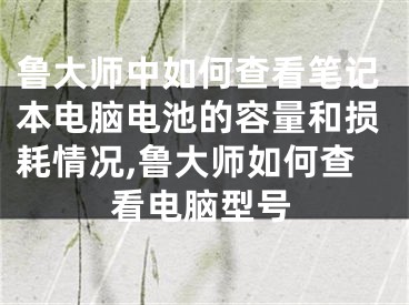 鲁大师中如何查看笔记本电脑电池的容量和损耗情况,鲁大师如何查看电脑型号