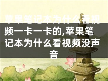 苹果笔记本为什么看视频一卡一卡的,苹果笔记本为什么看视频没声音