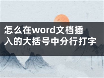 怎么在word文档插入的大括号中分行打字