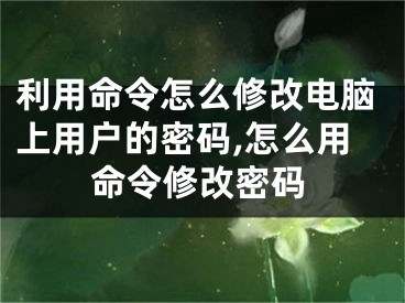 利用命令怎么修改电脑上用户的密码,怎么用命令修改密码