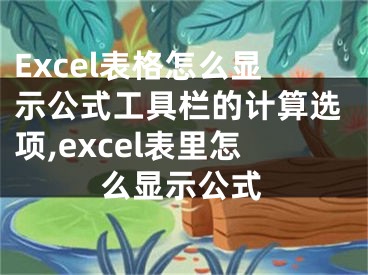 Excel表格怎么显示公式工具栏的计算选项,excel表里怎么显示公式
