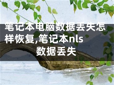 笔记本电脑数据丢失怎样恢复,笔记本nls数据丢失