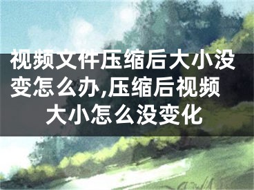 视频文件压缩后大小没变怎么办,压缩后视频大小怎么没变化