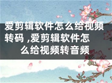 爱剪辑软件怎么给视频转码 ,爱剪辑软件怎么给视频转音频