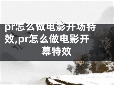 pr怎么做电影开场特效,pr怎么做电影开幕特效