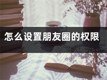 怎么设置朋友圈的权限