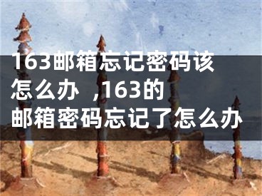 163邮箱忘记密码该怎么办  ,163的邮箱密码忘记了怎么办