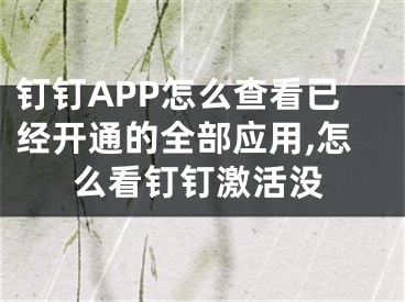 钉钉APP怎么查看已经开通的全部应用,怎么看钉钉激活没