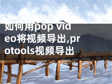 如何用pop video将视频导出,protools视频导出
