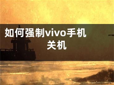 如何强制vivo手机关机