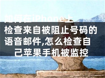 如何在iPhone上检查来自被阻止号码的语音邮件,怎么检查自己苹果手机被监控