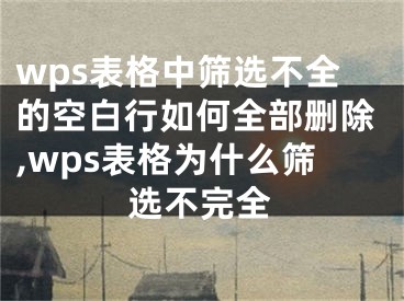 wps表格中筛选不全的空白行如何全部删除,wps表格为什么筛选不完全
