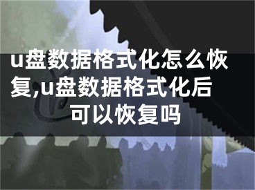 u盘数据格式化怎么恢复,u盘数据格式化后可以恢复吗