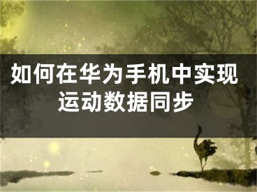 如何在华为手机中实现运动数据同步
