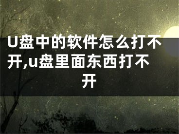 U盘中的软件怎么打不开,u盘里面东西打不开